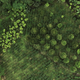 Illustration for article titled Swarms of Drones Will Be Mapping the World All By Themselves in No Time